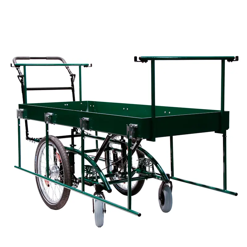 Liegewagen im Sonderbau